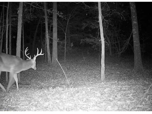 0 Bruce Road Whiteville, TN 38075 - Photo 13 of 18 a view of a bathroom