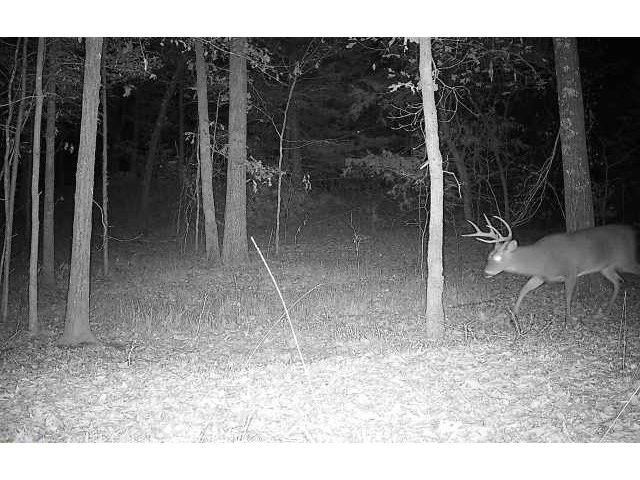 0 Bruce Road Whiteville, TN 38075 - Photo 14 of 18 a view of a room with a glass door