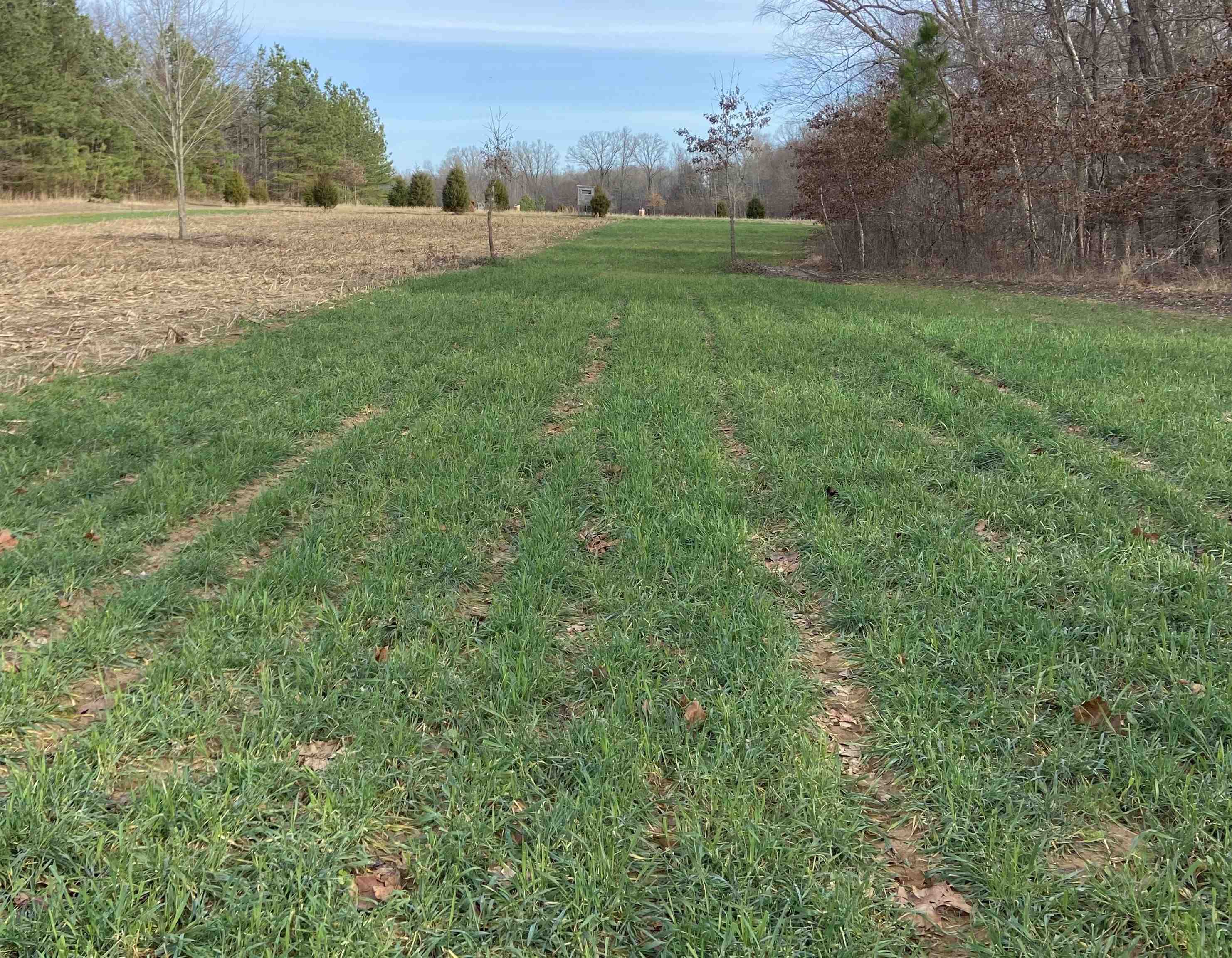 0 Bruce Road Whiteville, TN 38075 - Photo 14 of 18 a view of an outdoor space with a lake view