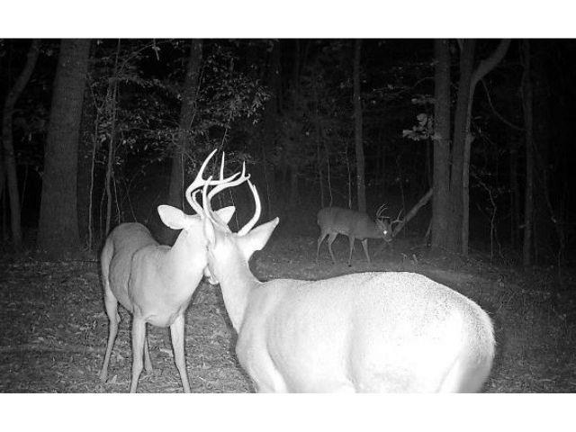 0 Bruce Road Whiteville, TN 38075 - Photo 16 of 18 a bathroom with a sink and mirror
