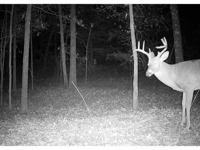 0 Bruce Road Whiteville, TN 38075 - Photo 17 of 18 a view of a glass door