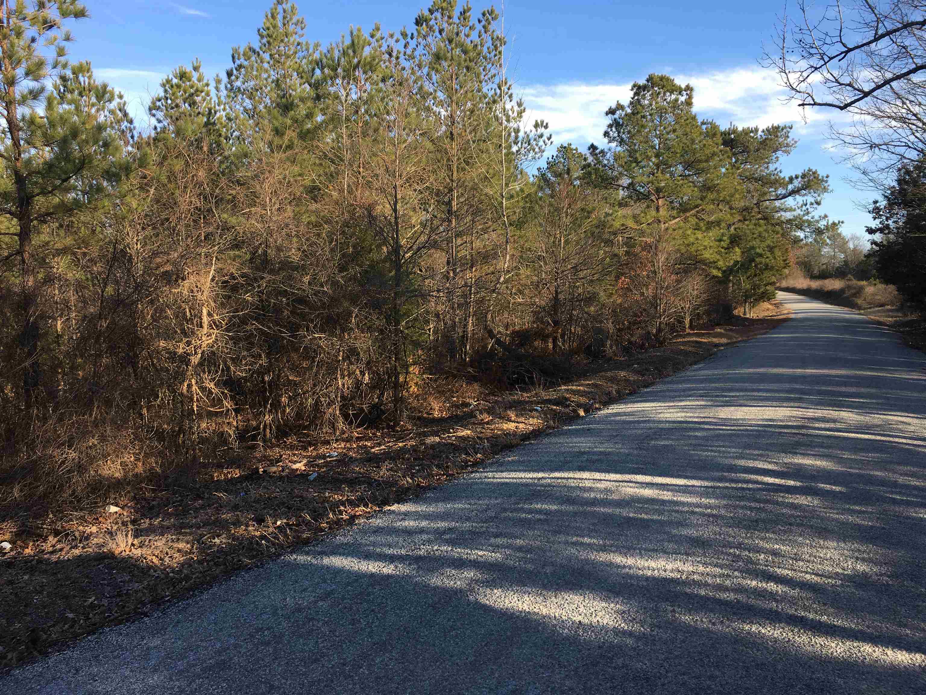 0 Bruce Road Whiteville, TN 38075 - Photo 4 of 18 a view of a yard