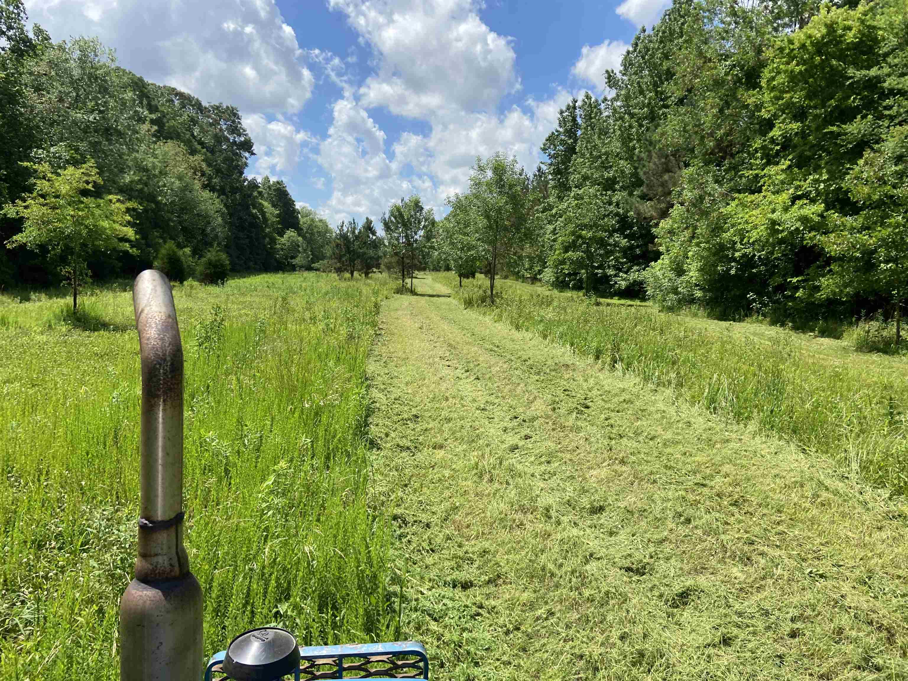 0 Bruce Road Whiteville, TN 38075 - Photo 5 of 18 a view of a garden with plants