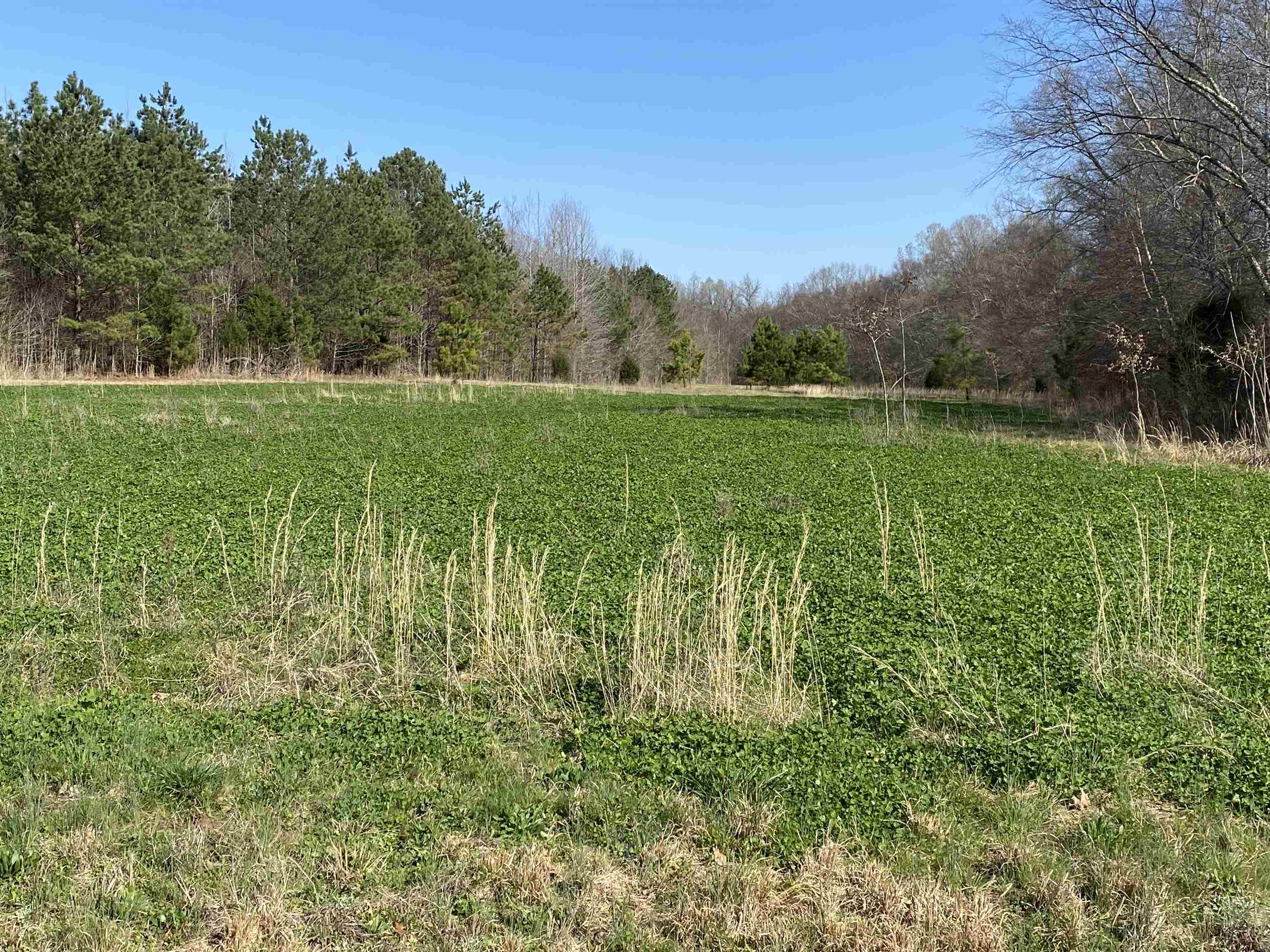 0 Bruce Road Whiteville, TN 38075 - Photo 6 of 18 a view of a green field with wooden fence