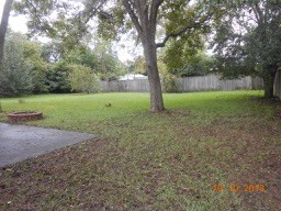 3624 Old Ferry Road Martinez, GA 30907 - Photo 3 of 12 Backyard