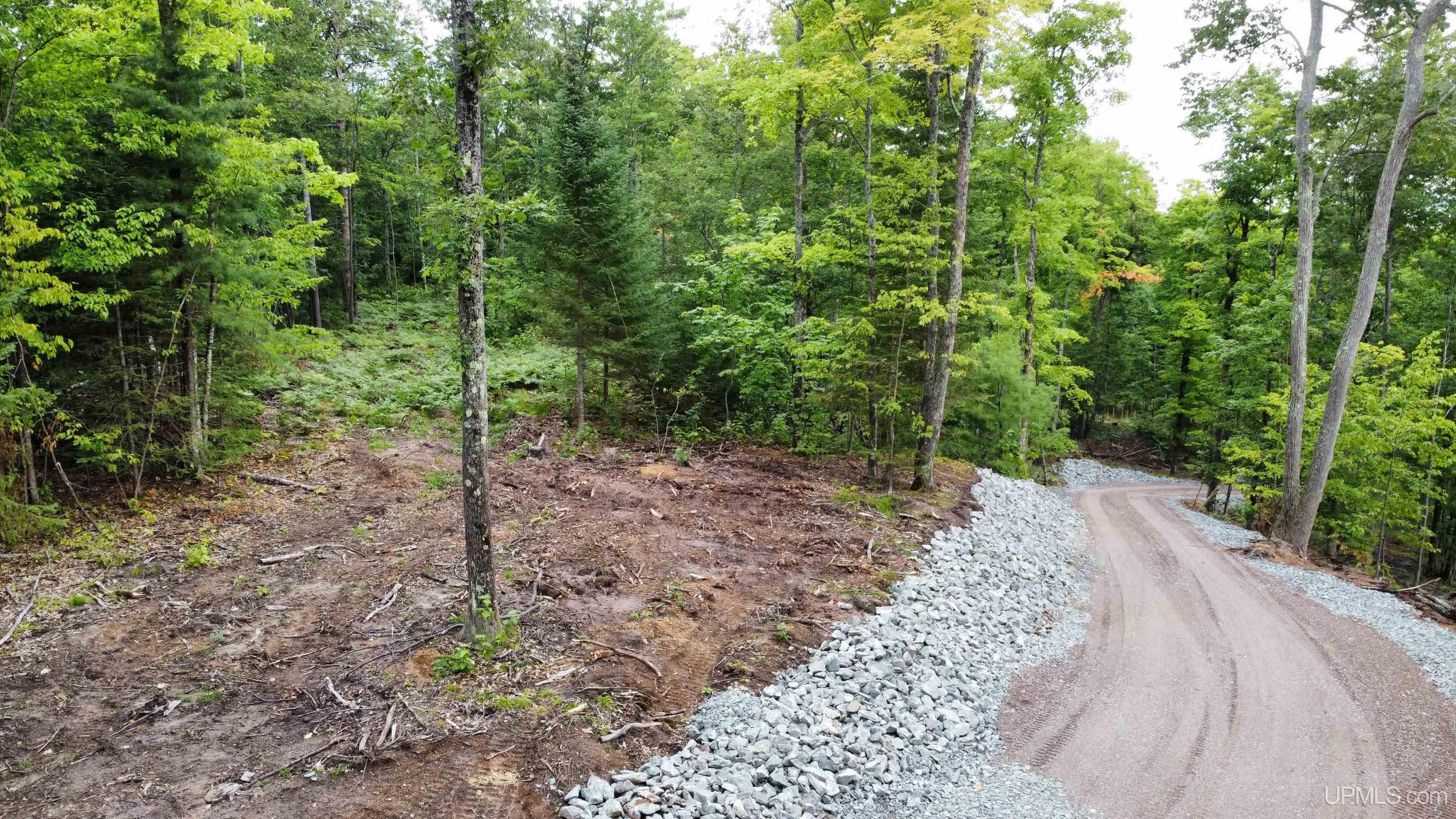 Tbd Neejee Road Negaunee, MI 49866 - Photo 8 of 29 Gallery Image 8