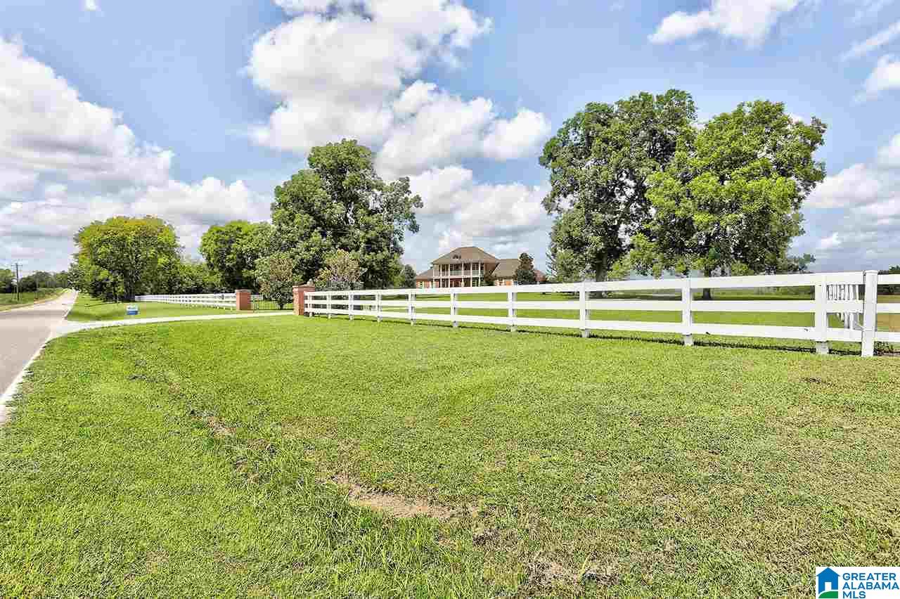 3041 Mathews Drive Mathews, AL 36052 - Photo 42 of 50