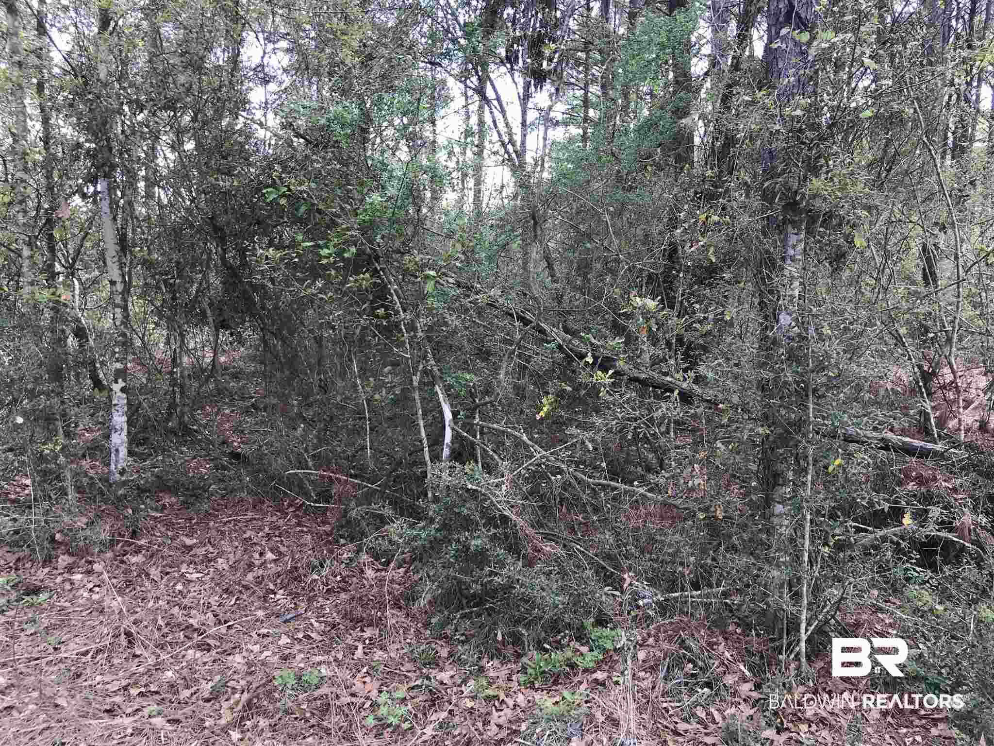 0 County Road 39 Stapleton, AL 36578 - Photo 8 of 18 Gallery Image 8