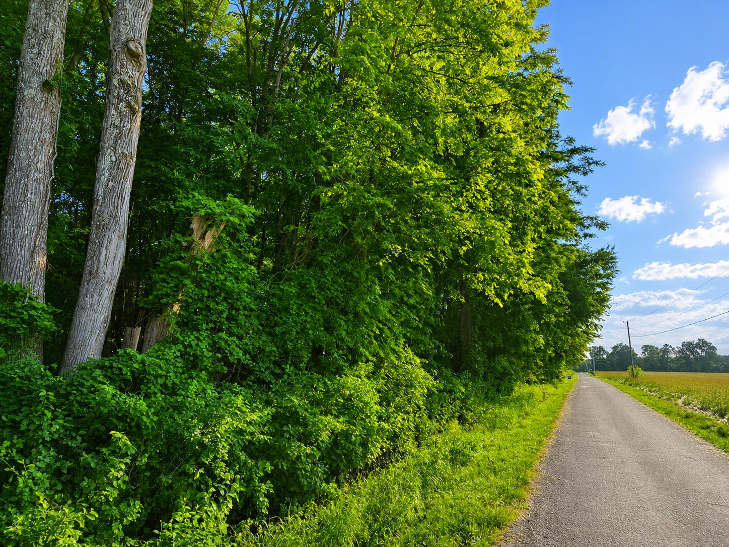 0 Cross Road Vevay, IN 47043 - Photo 2 of 2