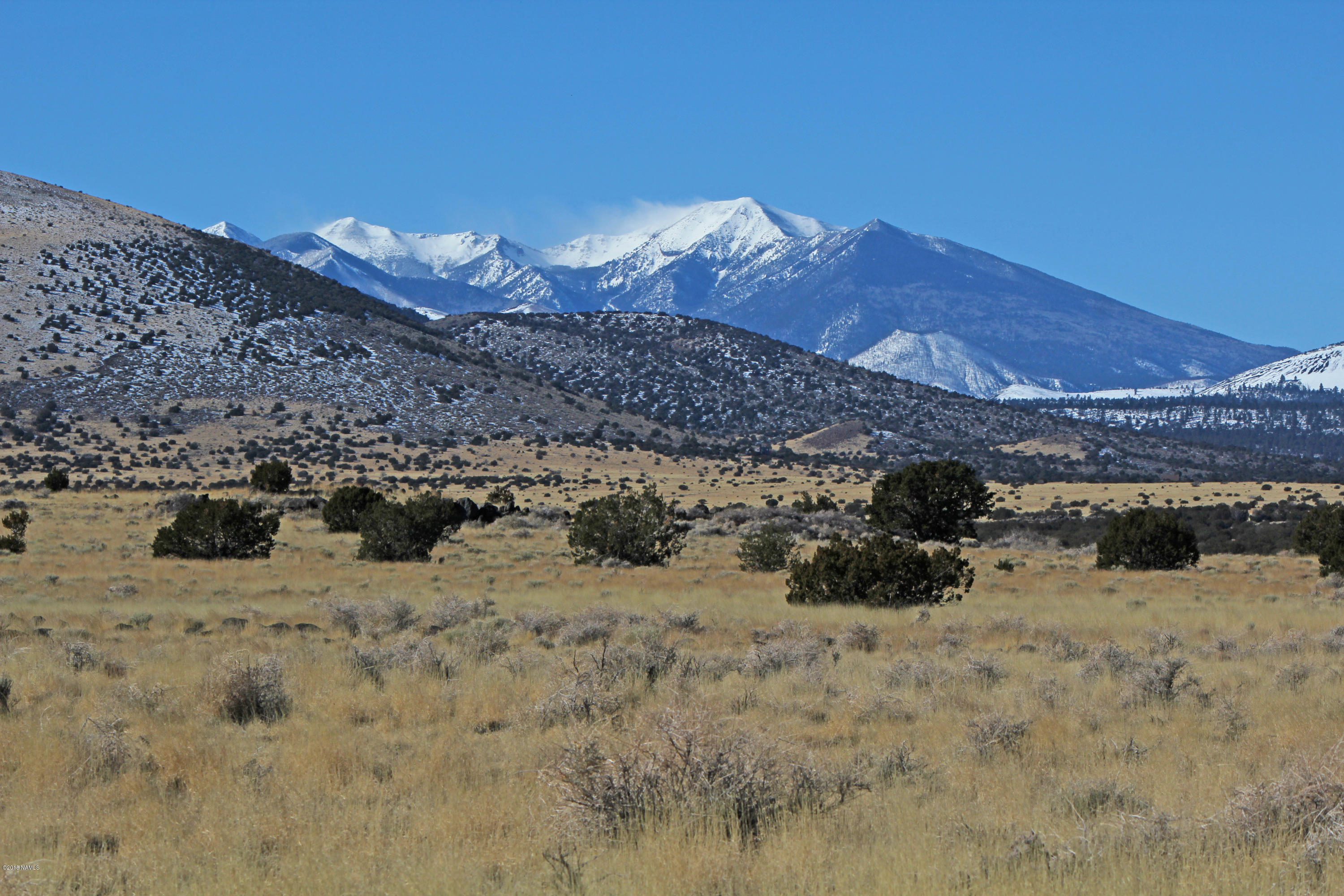 43075 Alpine Ranch Flagstaff, AZ 86004 - Photo 1 of 3 views