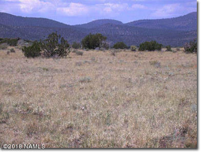 43075 Alpine Ranch Flagstaff, AZ 86004 - Photo 3 of 3 views