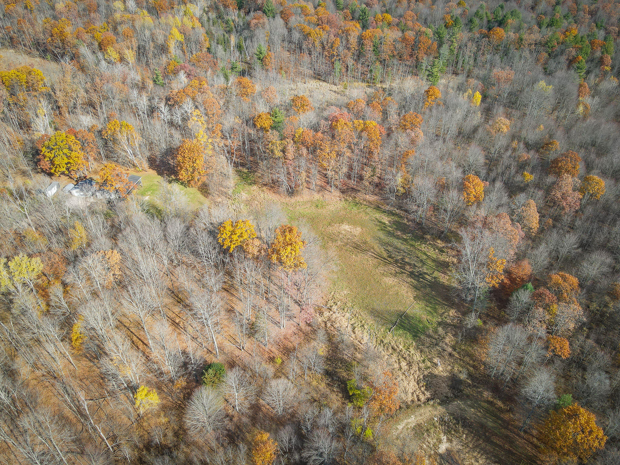 12278 Willow Road Bitely, MI 49309 - Photo 50 of 58 DJI_0884