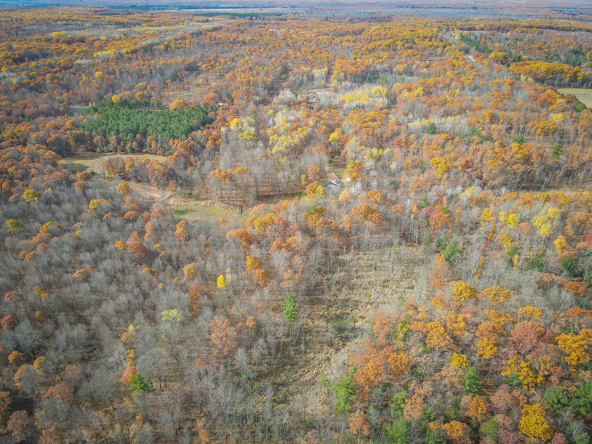 12278 Willow Road Bitely, MI 49309 - Photo 54 of 58 DJI_0916
