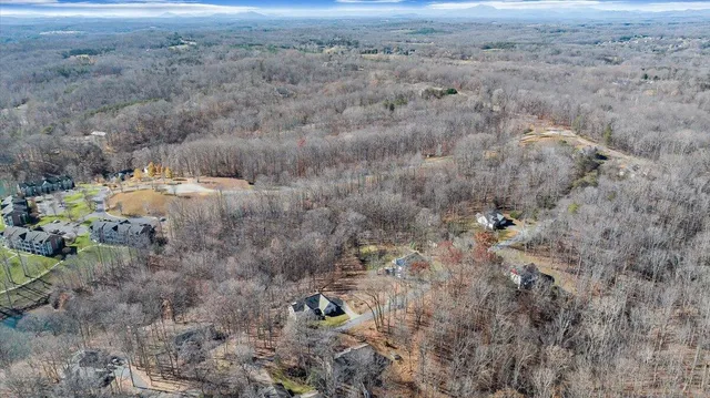 a view of a dry yard with trees and bushes