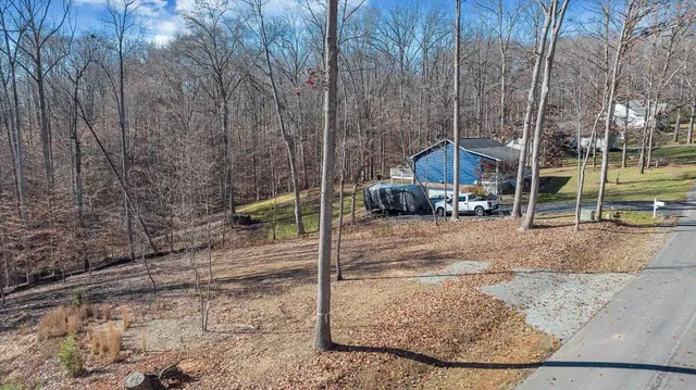a view of a yard with trees