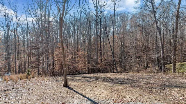 a view of a backyard of the house