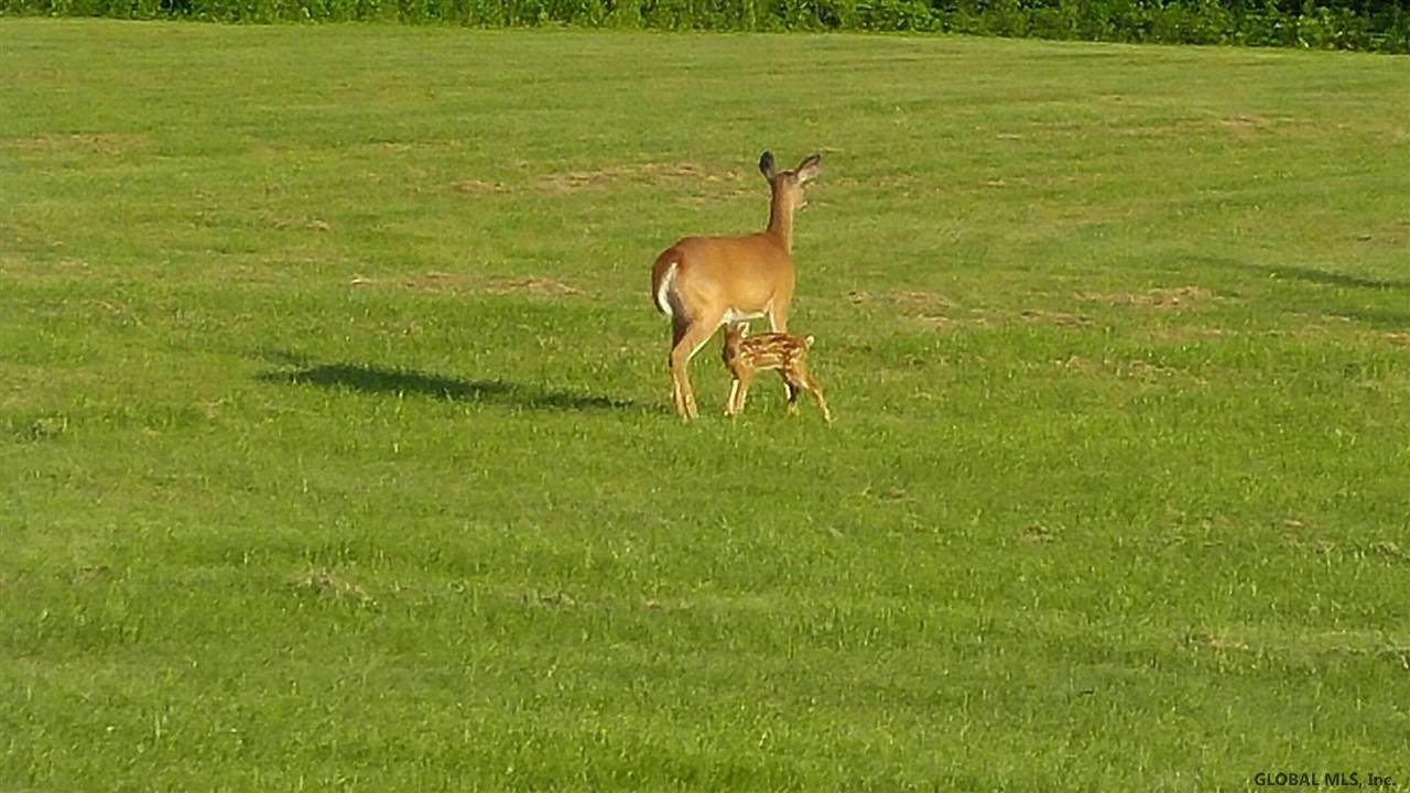 342 McQuade Road Amsterdam, NY 12010 - Photo 4 of 25 Photo 4