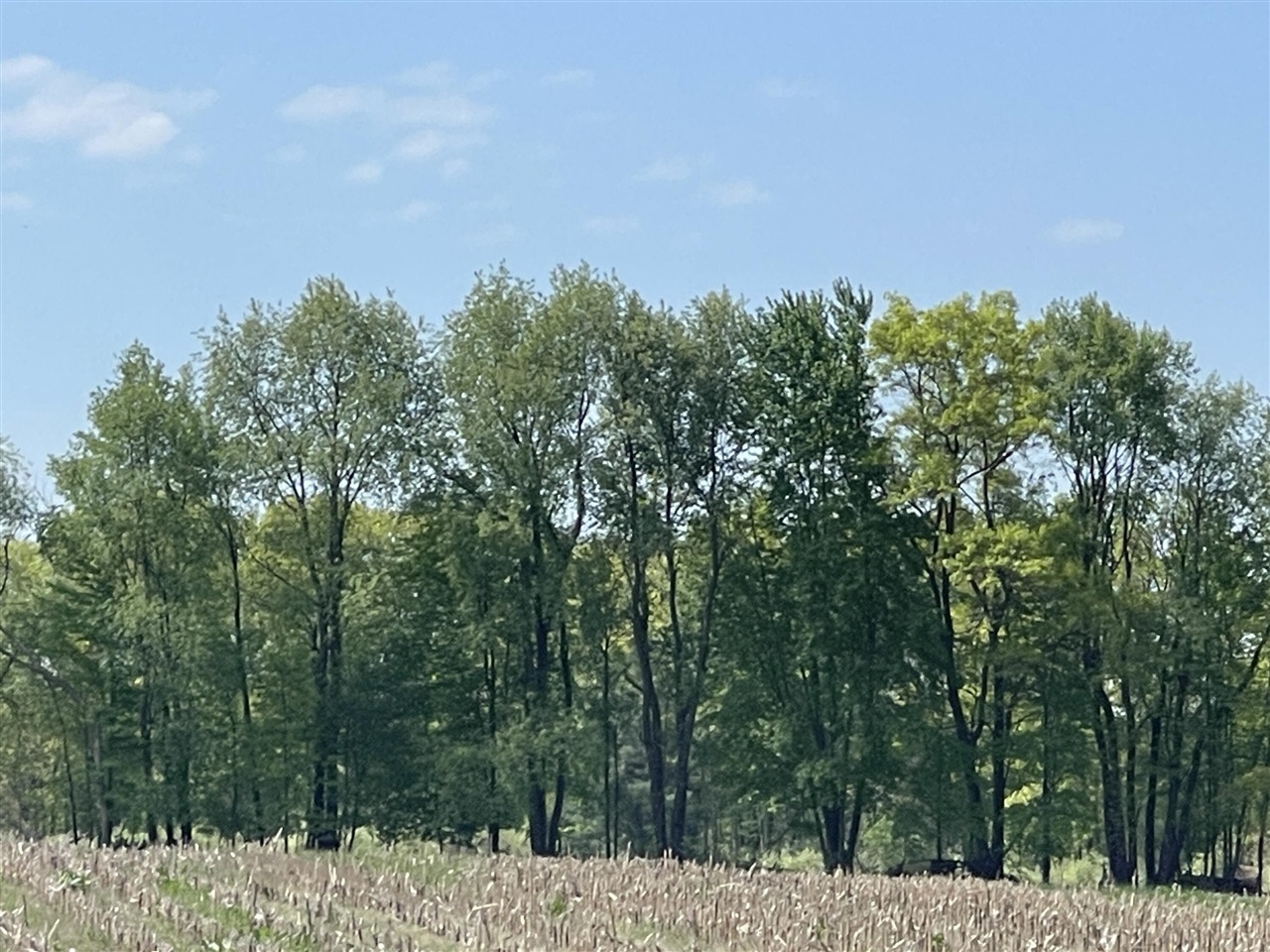 4514 22 Mile Road Northeast, Unit PARCEL 1 Sand Lake, MI 49343 - Photo 9 of 17
