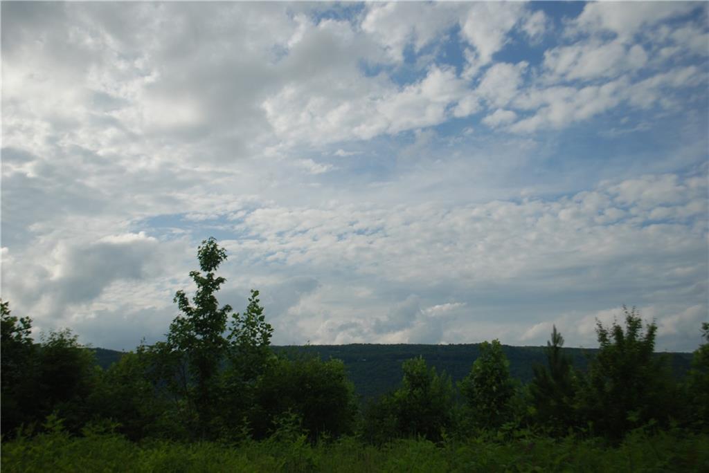 1558 Jamestown Road Menlo, GA 30731 - Photo 12 of 22