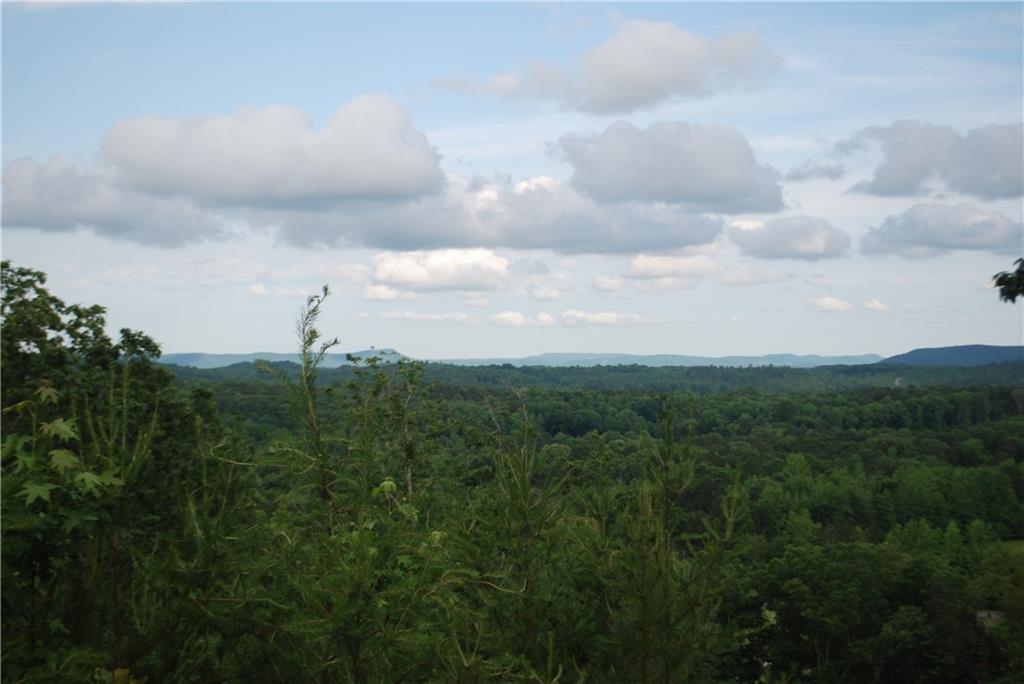 1558 Jamestown Road Menlo, GA 30731 - Photo 13 of 22