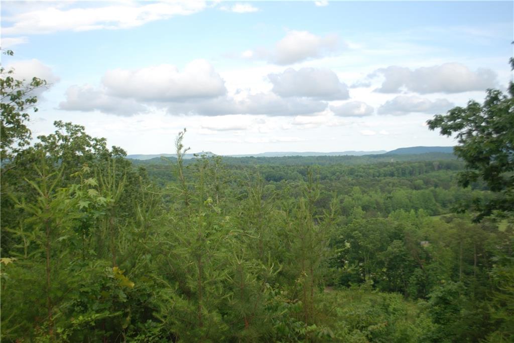 1558 Jamestown Road Menlo, GA 30731 - Photo 14 of 22