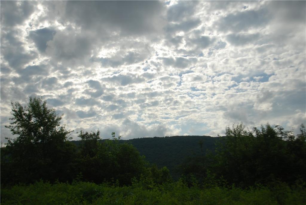 1558 Jamestown Road Menlo, GA 30731 - Photo 16 of 22