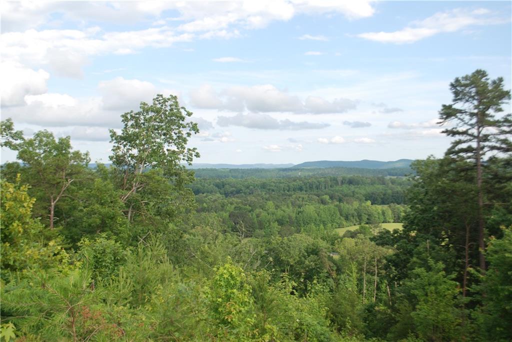 1558 Jamestown Road Menlo, GA 30731 - Photo 18 of 22