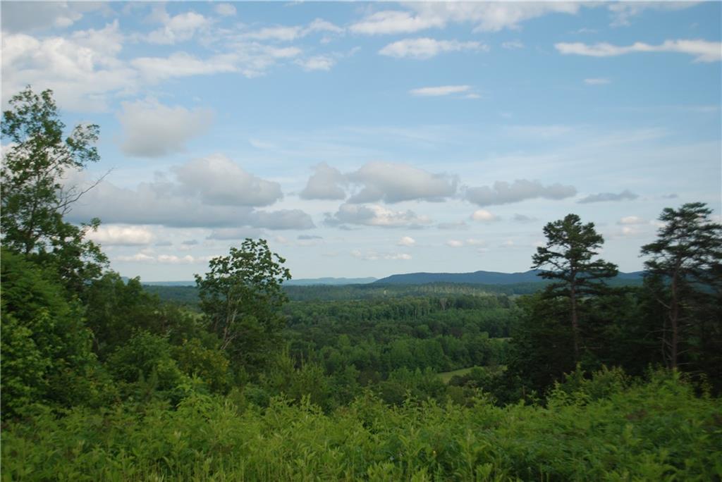 1558 Jamestown Road Menlo, GA 30731 - Photo 20 of 22