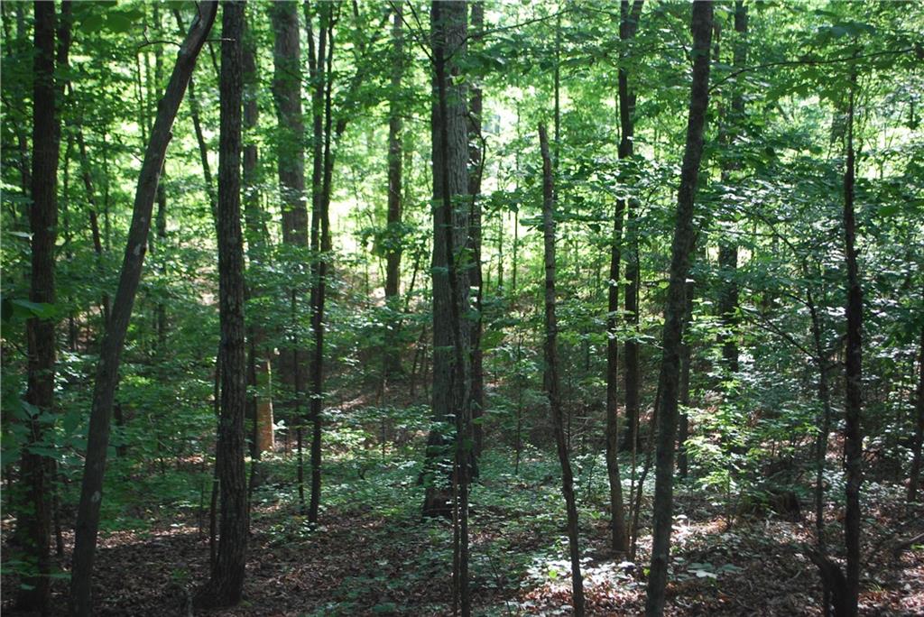 1558 Jamestown Road Menlo, GA 30731 - Photo 2 of 22