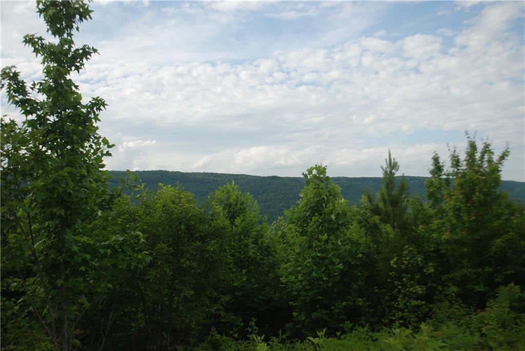 1558 Jamestown Road Menlo, GA 30731 - Photo 21 of 22