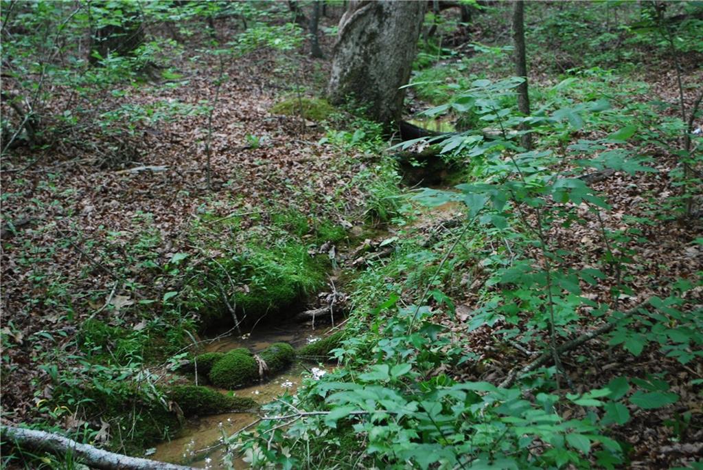 1558 Jamestown Road Menlo, GA 30731 - Photo 4 of 22