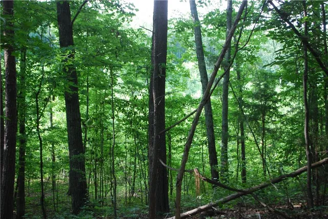 $489,000 | 1558 Jamestown Road, Menlo, GA 30731