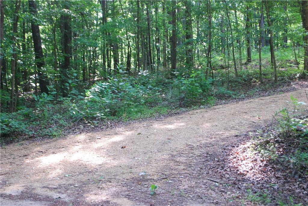 1558 Jamestown Road Menlo, GA 30731 - Photo 8 of 22