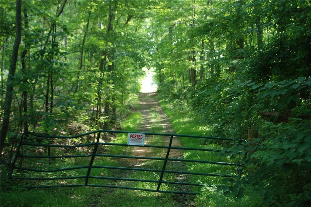 1558 Jamestown Road Menlo, GA 30731 - Photo 10 of 22