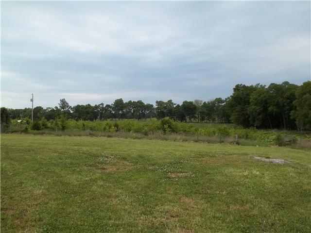 561 Governor Hall Road Castalian Springs, TN 37031 - Photo 12 of 20 Gallery Image 12