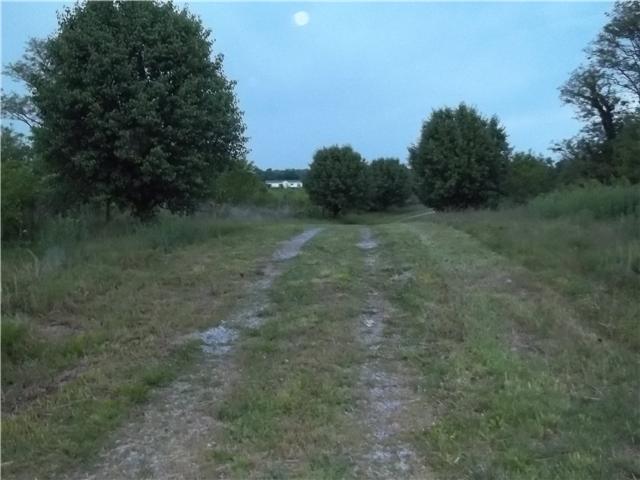 561 Governor Hall Road Castalian Springs, TN 37031 - Photo 8 of 20 Driveway entrance