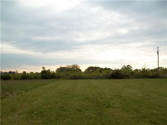 561 Governor Hall Road Castalian Springs, TN 37031 - Photo 10 of 20 Gallery Image 10