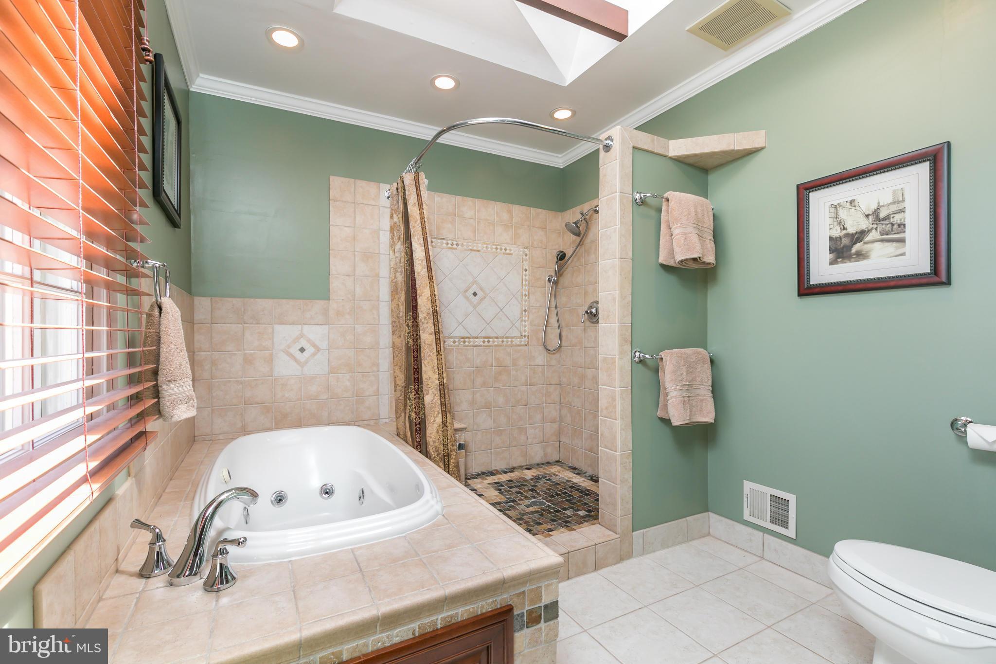 10807 Cross School Road Reston, VA 20191 - Photo 16 of 30 a bathroom with a sink a toilet and shower