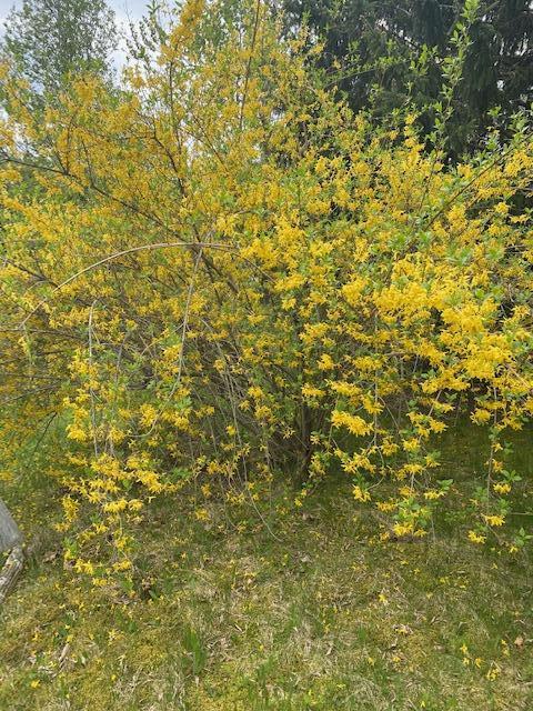 42 Spruce Street Calais, ME 04619 - Photo 27 of 34 IMG_3695