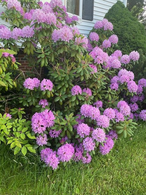 42 Spruce Street Calais, ME 04619 - Photo 28 of 34 IMG_3780