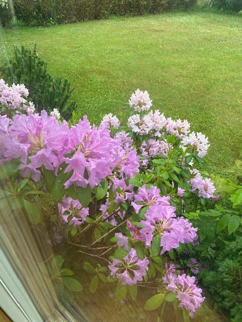 42 Spruce Street Calais, ME 04619 - Photo 29 of 34 IMG_3785