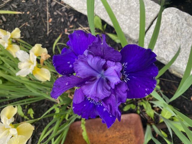 42 Spruce Street Calais, ME 04619 - Photo 31 of 34 IMG_3806