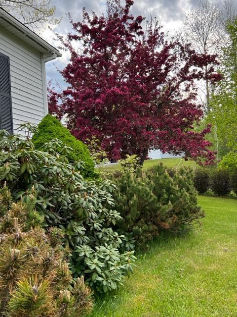 42 Spruce Street Calais, ME 04619 - Photo 33 of 34 IMG_4519