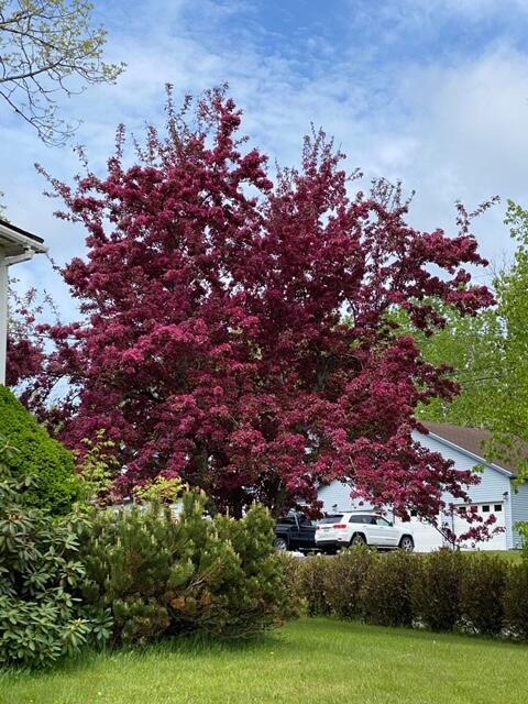 42 Spruce Street Calais, ME 04619 - Photo 34 of 34 IMG_4520