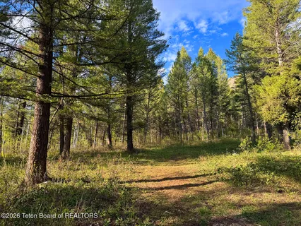 $98,000 | Lot 83 Oak Drive, Star Valley Ranch, WY 83127