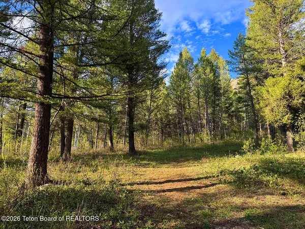$89,000 | Lot 83 Oak Drive, Star Valley Ranch, WY 83127