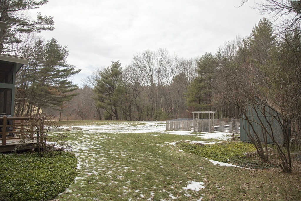 275 Littleton Road Harvard, MA 01451 - Photo 15 of 17 a view of a yard with large trees