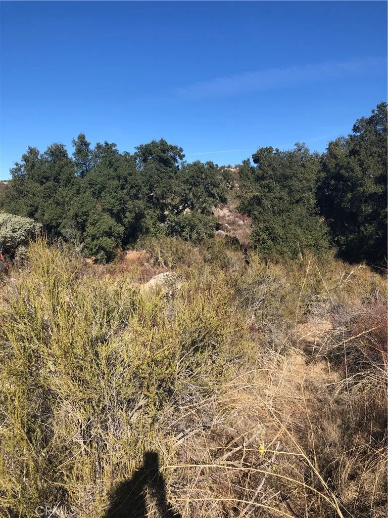 0 Red Mountain Road Hemet, CA 92544 - Photo 11 of 16