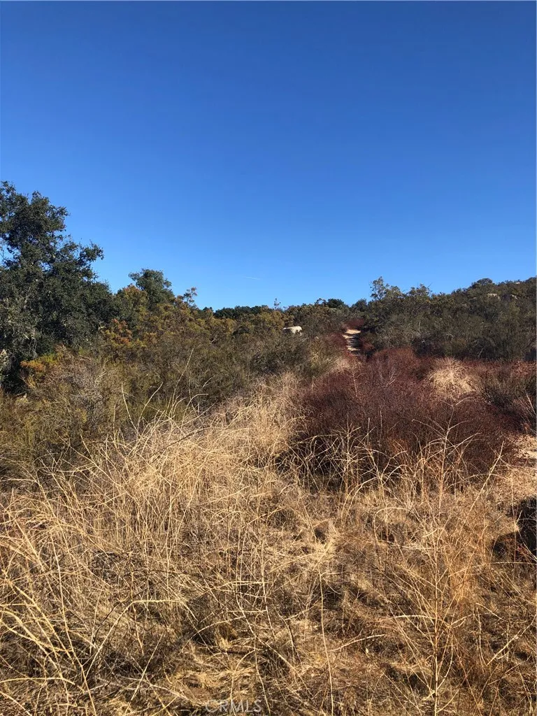 0 Red Mountain Road Hemet, CA 92544 - Photo 14 of 16 a view of mountain