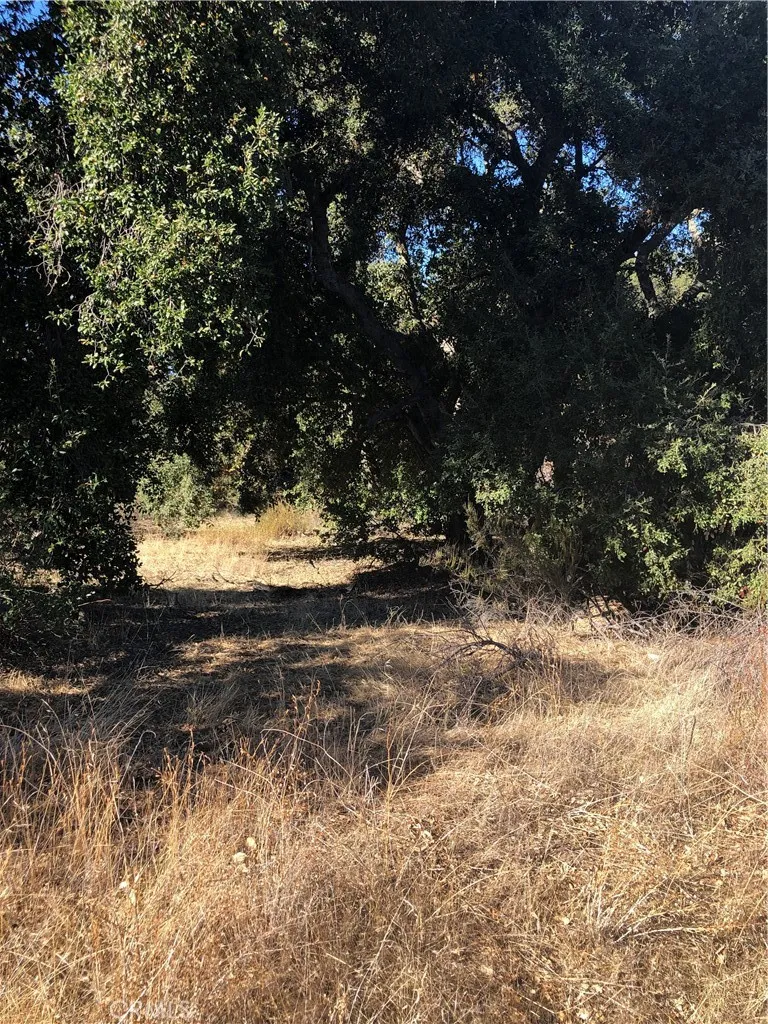 0 Red Mountain Road Hemet, CA 92544 - Photo 6 of 16 a view of a yard with a tree